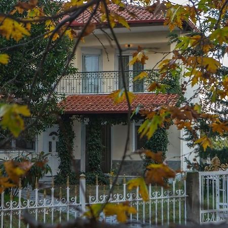 Woods Cottage Loutra Pozar Aridaia Megaplatanos 外观 照片