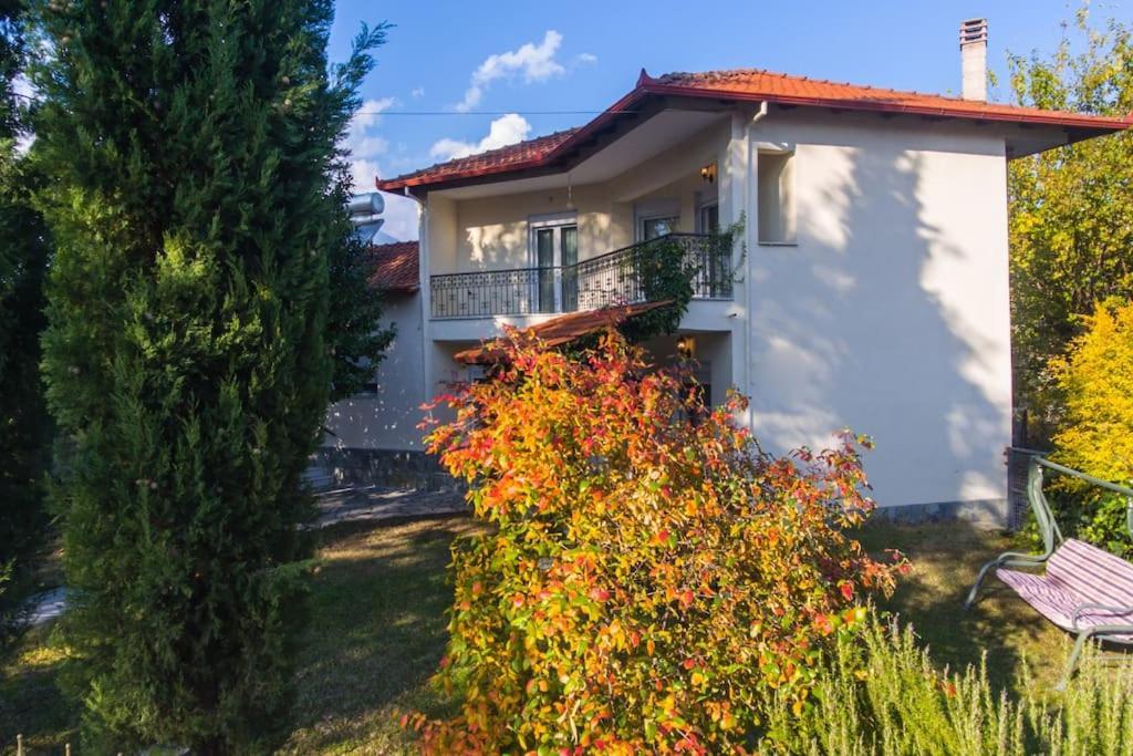 Woods Cottage Loutra Pozar Aridaia Megaplatanos 外观 照片