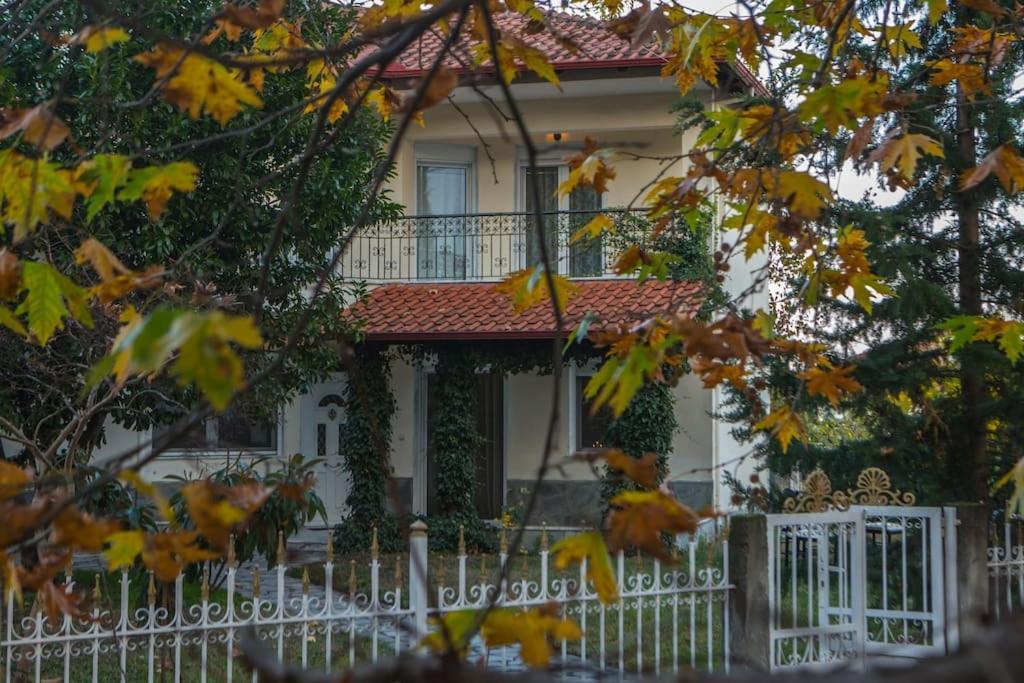 Woods Cottage Loutra Pozar Aridaia Megaplatanos 外观 照片