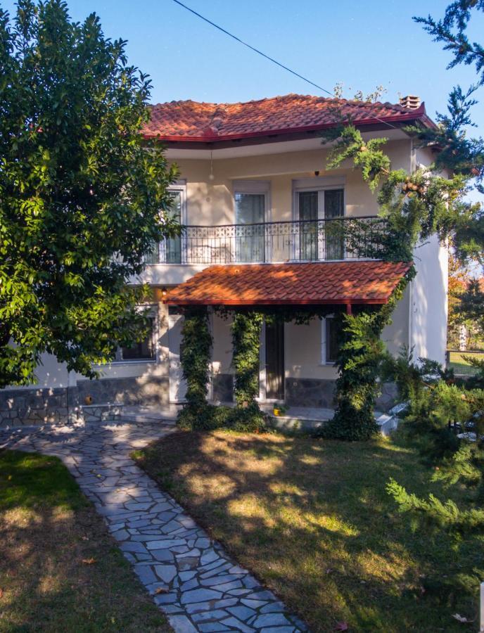 Woods Cottage Loutra Pozar Aridaia Megaplatanos 外观 照片